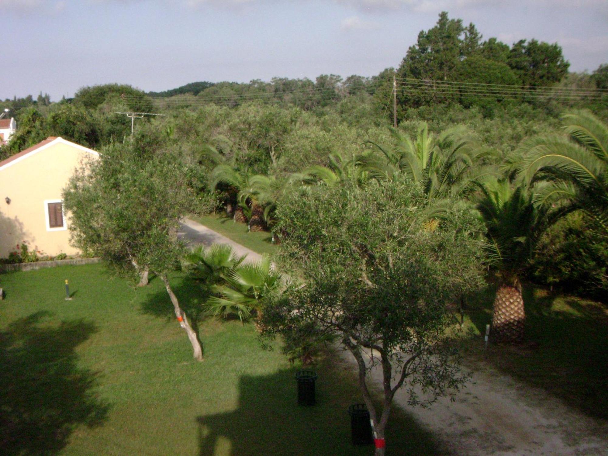 Irini Apartments And Studios Kávosz Kültér fotó